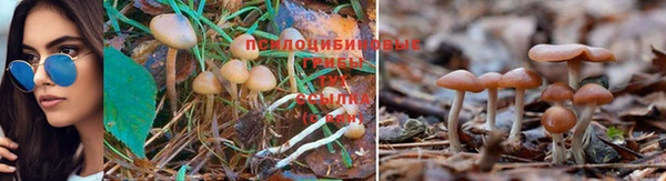 кокаин премиум Медвежьегорск
