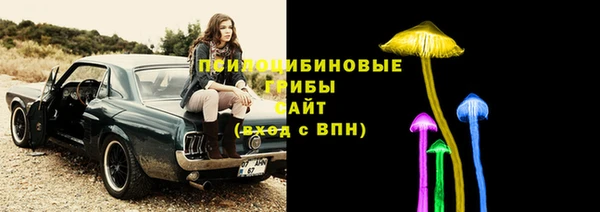 apvp Мегион