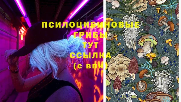 apvp Мегион