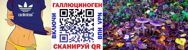 Галлюциногенные грибы GOLDEN TEACHER  Хабаровск 