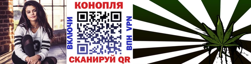Бошки марихуана планчик  купить наркотики сайты  Хабаровск 